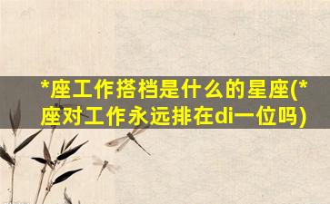 *
座工作搭档是什么的星座(*
座对工作永远排在di一
位吗)