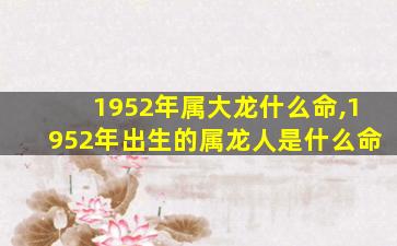 1952年属大龙什么命,1952年出生的属龙人是什么命