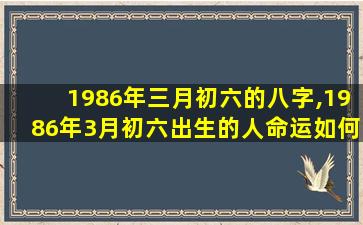 1986年三月初六的八字,1986年3月初六出生的人命运如何