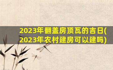 2023年翻盖房顶瓦的吉日(2023年农村建房可以建吗)