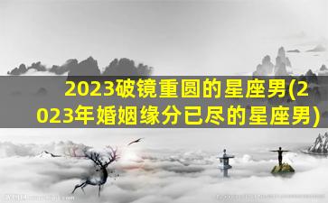 2023破镜重圆的星座男(2023年婚姻缘分已尽的星座男)