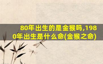 80年出生的是金猴吗,1980年出生是什么命(金猴之命)