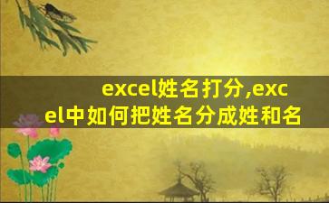 excel姓名打分,excel中如何把姓名分成姓和名