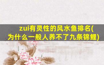 zui
有灵性的风水鱼排名(为什么一般人养不了九条锦鲤)