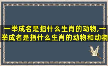 一举成名是指什么生肖的动物,一举成名是指什么生肖的动物和动物