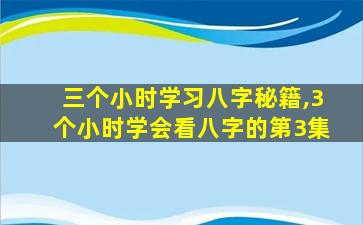 三个小时学习八字秘籍,3个小时学会看八字的第3集