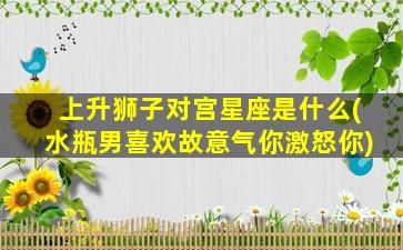 上升狮子对宫星座是什么(水瓶男喜欢故意气你激怒你)