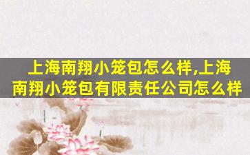 上海南翔小笼包怎么样,上海南翔小笼包有限责任公司怎么样