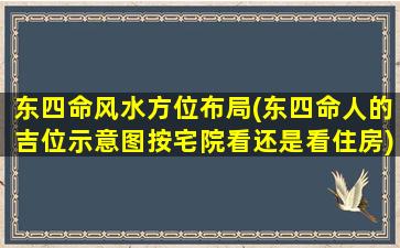 东四命风水方位布局(东四命人的吉位示意图按宅院看还是看住房)
