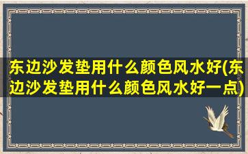 东边沙发垫用什么颜色风水好(东边沙发垫用什么颜色风水好一点)