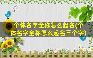 个体名字全称怎么起名(个体名字全称怎么起名三个字)