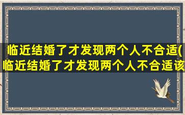 临近结婚了才发现两个人不合适(临近结婚了才发现两个人不合适该怎么办)