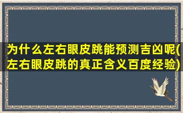 为什么左右眼皮跳能预测吉凶呢(左右眼皮跳的真正含义百度经验)