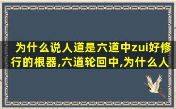 为什么说人道是六道中zui
好修行的根器,六道轮回中,为什么人道zui
好