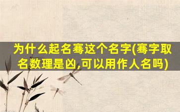 为什么起名骞这个名字(骞字取名数理是凶,可以用作人名吗)