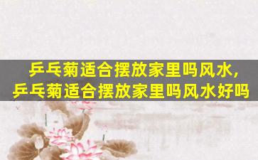 乒乓菊适合摆放家里吗风水,乒乓菊适合摆放家里吗风水好吗