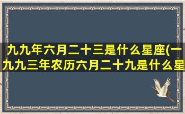 九九年六月二十三是什么星座(一九九三年农历六月二十九是什么星座)