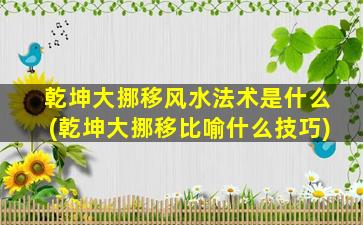 乾坤大挪移风水法术是什么(乾坤大挪移比喻什么技巧)