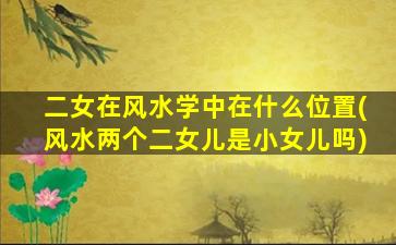 二女在风水学中在什么位置(风水两个二女儿是小女儿吗)