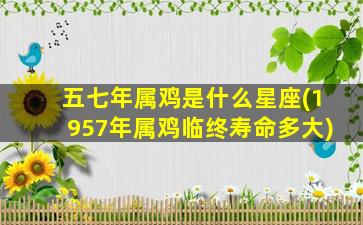 五七年属鸡是什么星座(1957年属鸡临终寿命多大)