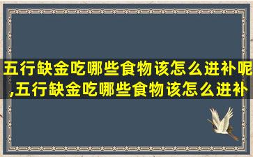 五行缺金吃哪些食物该怎么进补呢,五行缺金吃哪些食物该怎么进补呢女生