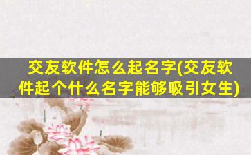 交友软件怎么起名字(交友软件起个什么名字能够吸引女生)