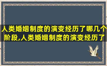 人类婚姻制度的演变经历了哪几个阶段,人类婚姻制度的演变经历了哪几个阶段的变化