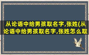 从论语中给男孩取名字,张姓(从论语中给男孩取名字,张姓怎么取)