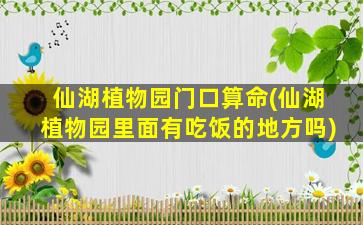 仙湖植物园门口算命(仙湖植物园里面有吃饭的地方吗)