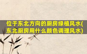 位于东北方向的厨房绿植风水(东北厨房用什么颜色调理风水)