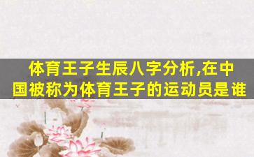 体育王子生辰八字分析,在中国被称为体育王子的运动员是谁