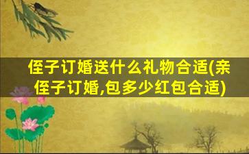 侄子订婚送什么礼物合适(亲侄子订婚,包多少红包合适)
