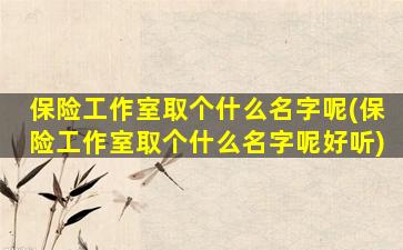 保险工作室取个什么名字呢(保险工作室取个什么名字呢好听)