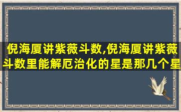倪海厦讲紫薇斗数,倪海厦讲紫薇斗数里能解厄治化的星是那几个星