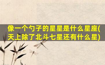 像一个勺子的星星是什么星座(天上除了北斗七星还有什么星)