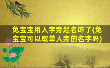 兔宝宝用人字旁起名咋了(兔宝宝可以取单人旁的名字吗)