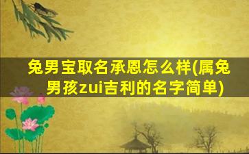 兔男宝取名承恩怎么样(属兔男孩zui
吉利的名字简单)