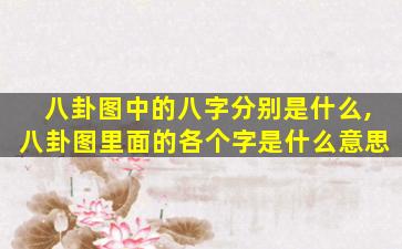 八卦图中的八字分别是什么,八卦图里面的各个字是什么意思