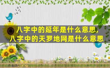八字中的延年是什么意思,八字中的天罗地网是什么意思