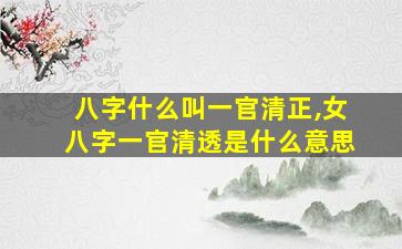 八字什么叫一官清正,女八字一官清透是什么意思