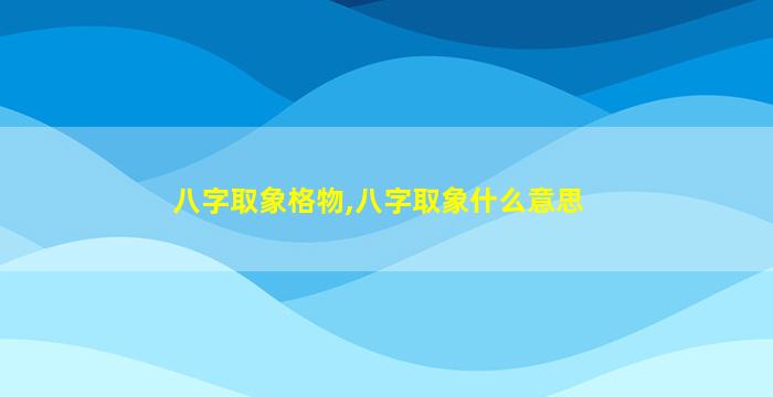 八字取象格物,八字取象什么意思