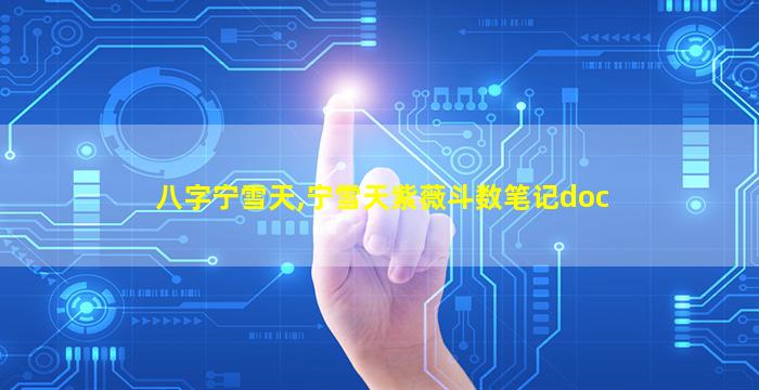 八字宁雪天,宁雪天紫薇斗数笔记doc