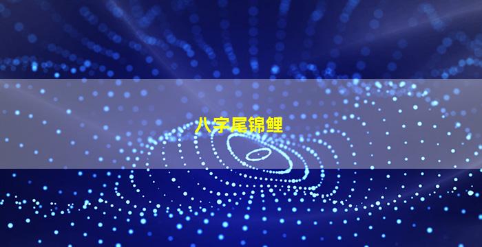 八字尾锦鲤
