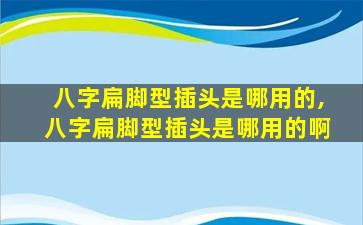 八字扁脚型插头是哪用的,八字扁脚型插头是哪用的啊