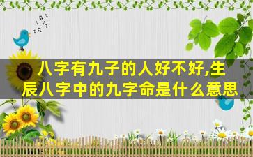 八字有九子的人好不好,生辰八字中的九字命是什么意思