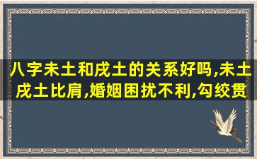 八字未土和戌土的关系好吗,未土戌土比肩,婚姻困扰不利,勾绞贯索之事较多