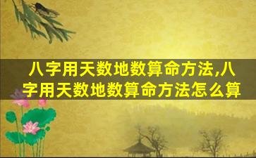 八字用天数地数算命方法,八字用天数地数算命方法怎么算