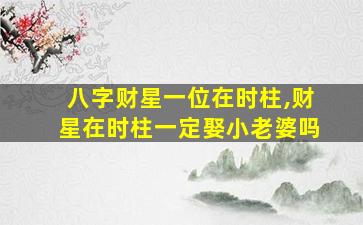 八字财星一位在时柱,财星在时柱一定娶小老婆吗