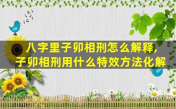 八字里子卯相刑怎么解释,子卯相刑用什么特效方法化解