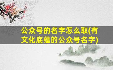 公众号的名字怎么取(有文化底蕴的公众号名字)